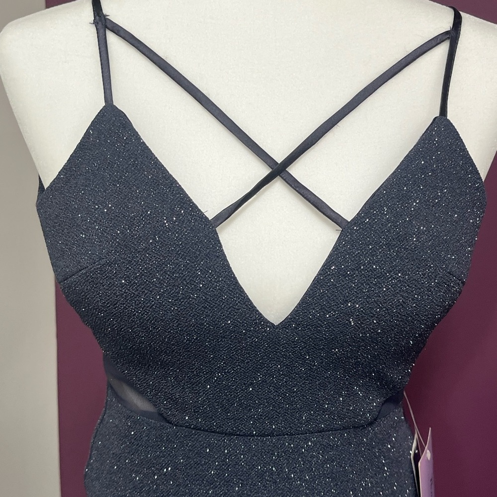 Dear Moon Silver Gown